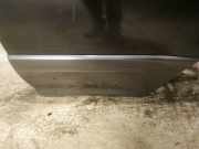 Zierleiste T?r Zier-Schutzleiste - Hinten Linke Lexus RX, 2000.07 - 2003.05 Gebraucht,