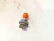 Gl?hbirnenfassung Blinker Kia Carens, 2006.09 - 2013.03 Gebraucht,