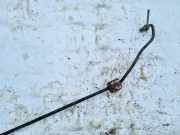 Stabilisator Stabi Hinten Hinterachse BMW 3-Series, E90 E91 E93 2005.02 - 2009.01 10845012, 108450.12