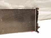 Wasserkühler Renault Megane, III 2008.11 - 2012.06 214100002R,