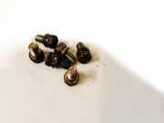 Schwungradschraube Nissan Micra, K12 2003.01 - 2007.06 Gebraucht ,