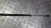 Gasdruckfeder Kofferraum Honda Civic, 2001.01 - 2005.09 74870S5SE012M1, 74870-S5S-E012-M1