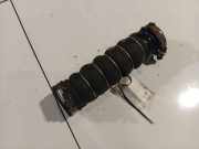Intercooler Schlauch Audi A8, D3 2002.09 - 2005.6 Gebraucht,