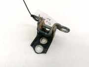 Türscharnier Vorne Renault Megane, II 2002.11 - 2006.06 Gebraucht,
