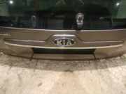 Kennzeichenleuchte Kia Sportage, II 2004.09 - 2010.12 Gebraucht,