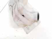 Scheibenwaschbehälter Vorne Wischwasserbehälter Nissan Qashqai, I 2006.01 - 2010.06 Gebraucht,