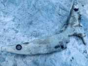 Scheibenwaschbehälter Vorne Wischwasserbehälter Ford Focus, 1998.10 - 2002.10 xs4117618ch,xs41-17618-ch xs41-17618-bh xs4113k163ah xs4113k163bh