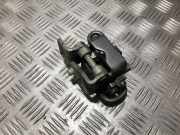 T?rscharnier Hinten Volkswagen Golf Plus, 2005.01 - 2008.05 Gebraucht, Bkc