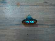 Blinkleuchte Kotfl?gel - Vorne Rechts Renault Kangoo, 1997.09 - 2003.04 01994994,