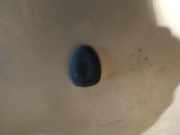 Waschwasserdüse Scheibenreinigung Citroen C3, I 2002.02 - 2005.06 Gebraucht,