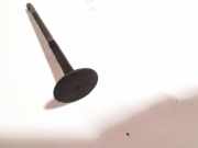 Auslassventil Volkswagen Polo, IV 2005.04 - 2009.11 facelift Gebraucht,