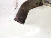 Kühlerschlauch Nissan Almera Tino 2003.09 - 2006.12 facelift Gebraucht,