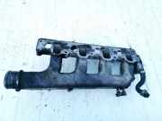 Ansaugkrümmer Fiat Bravo, 1995.10 - 2001.10 7735492,