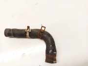 Kühlerschlauch Hyundai Kona 2017- 2020 Gebraucht,