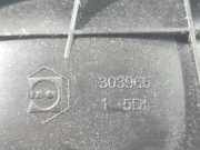 Türinnengriff - Vorne Rechts Citroen C4 Grand Picasso, I 2006.01 - 2013.06 303965,303965