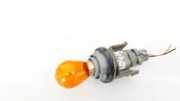Glühbirnenfassung Blinker Renault Scenic, I 1999.09 - 2003.06 facelift Gebraucht,