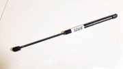 Gasdruckfeder Kofferraum Fiat Bravo, 1995.10 - 2001.10 5192dm0320n,7774707