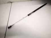 Gasdruckfeder Kofferraum Lexus IS, II 2005.10 - 2013.03 Gebraucht,