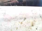 Seitenfenster Seitenscheibe - Mazda 323, 1998.09 - 2004.05 Gebraucht,