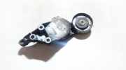 Spannrolle Volkswagen Golf, IV 1997.08 - 2003.10 950464, Agp
