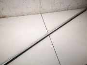 Zierleiste Leiste - Vorne Linke Volkswagen Passat, B5+ 2000.11 - 2005.05 JUI, AVB