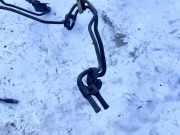 Servoleitung Leitung Servo Servoschlauch Schlauch Nissan Micra, K11 1992.01 - 1997.07 Gebraucht,