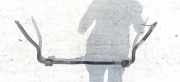 Stabilisator Vorne Peugeot 406, 1995.11 - 1999.03 Gebraucht,