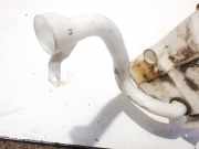 Scheibenwaschbehälter Vorne Wischwasserbehälter Subaru Legacy, BM, BR 2009.09 - 2014.06 Gebraucht,