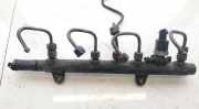 Kraftstoffverteiler Renault Laguna, II 2001.03 - 2006.05 7700114017,0445214024