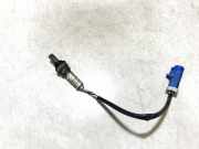 Lambdasonde -4 Drähte WEISS WEISS SCHWARZ GRAU Mercury Cougar, VIII 1998.01 - 2002.12 xs2a9g444aa,xs2a-9g444-aa