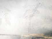 Radhausschale - Vorne Rechts Ford Fiesta, V 2002.01 - 2004.12 2S6X16114AC,2S6X-16114-AC