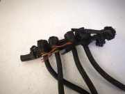 Einspritzleiste Gasanlage Honda Accord, 2005.09 - 2008.05 facelift 110R000123,110R-000123 110R000123
