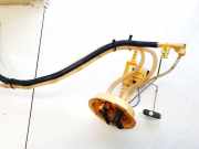 Kraftstoffpumpe BMW X1, E84 2009.01 - 2015.06 7190944, a2c53216247