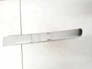 Zierleiste Tür Zier-Schutzleiste - Hinten Linke Nissan X-Trail, 2001.06 - 2007.06 828718h300,