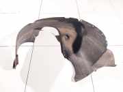 Radhausschale - Vorne Rechts Volkswagen Polo, IV 2005.04 - 2009.11 facelift 6q0809958b, BMD