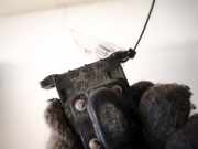 Druckwandler Abgassteuerung Audi 100, C4 1991.01 - 1994.06 357906283,