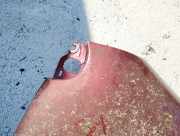 Kotflügel - Vorne Rechts Renault Scenic, I 1996.01 - 1999.09 raudonas,