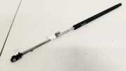 Gasdruckfeder Kofferraum Lexus IS, II 2005.10 - 2013.03 Gebraucht ,