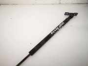 Gasfeder für Motorhaube Opel Omega, B 1994.03 - 1999.09 09146281,