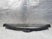 Windlauf Wischerabdeckung BMW X5, E53 facelift 2004 - 2006 51718356313, 51718402642