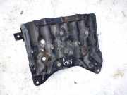 Batteriekasten Nissan Murano, Z50 2003.08 - 2008.06 Gebraucht,