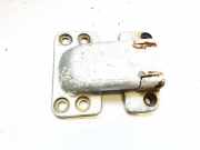 Türscharnier Hinten Fiat Ducato, 2002.04 - 2006.07 Gebraucht,