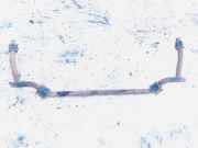 Stabilisator Stabi Hinten Hinterachse Ford Galaxy, Mk I 1995.03 - 2000.04 Gebraucht,