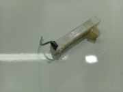 Antenne Verstärker Renault Megane, III 2008.11 - 2012.06 285900006R,2859 0000 6R A2C 531 58 504 A2C53158504