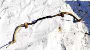 Stabilisator Vorne Volkswagen Golf Plus, 2005.01 - 2008.05 Gebraucht, BXE