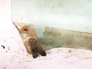 Seitenscheibe - Vorne Rechts Subaru Forester, I 1997.01 - 2000.06 Gebraucht,