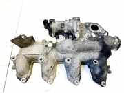 Ansaugkrümmer Ford Transit Connect 2002.06 - 2008.12 16100011,16100011