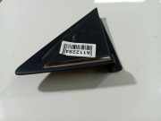 Schutzleiste Tür - Hinten Rechts Hyundai Sonata V (NF) 2005.01 - 2010.12 Gebraucht,