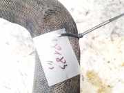 Intercooler Schlauch Chrysler 300C, I 2005.01 - 2010.06 Gebraucht,