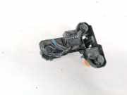 Lampenträger Heckleuchte - Hinten Renault Scenic, I 1996.01 - 1999.09 Gebraucht,